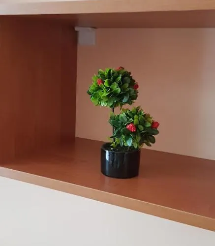 伊力特4号公寓 阳光海滩