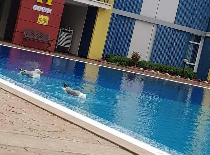 Elit 4 * Sunny Beach