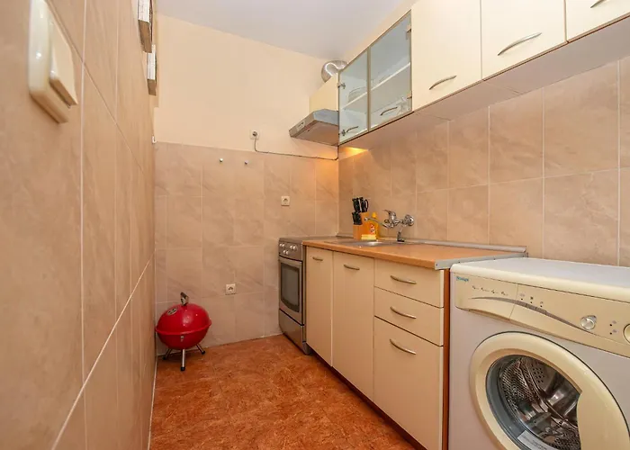 Elit 4 Солнечный берег